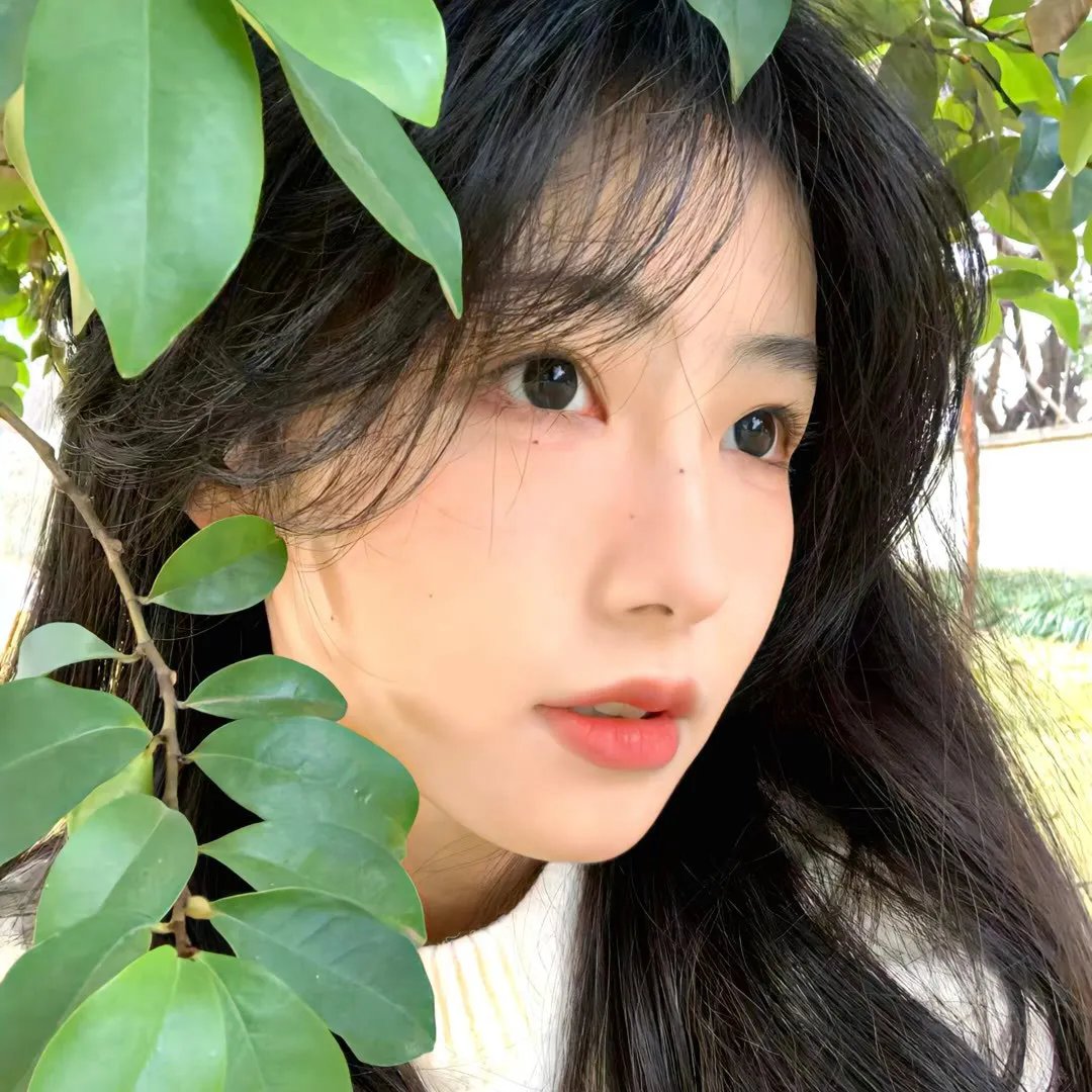 两个母亲 封面