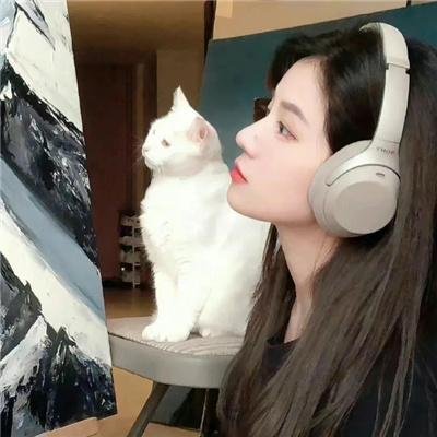 小马王 封面